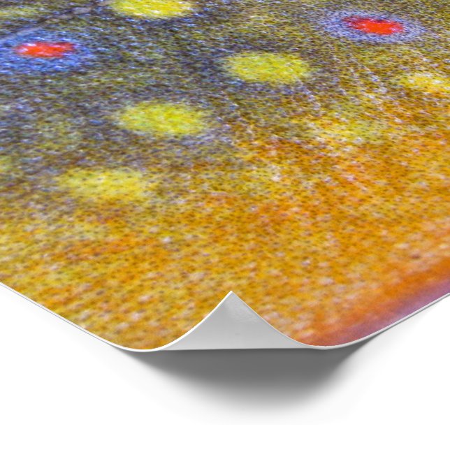 Brook Trout Poster (Borda)