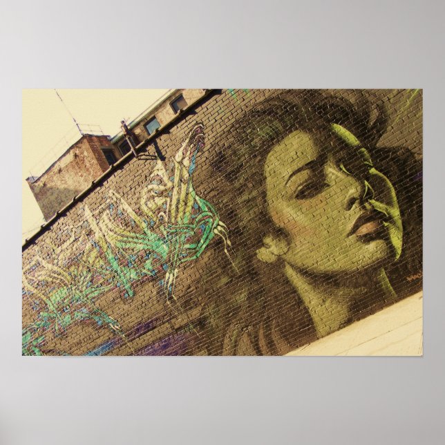 Brooklyn Graffitti Wall Poster (Frente)