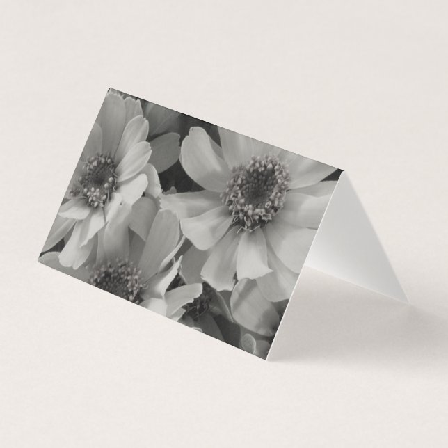 Brown Eyed Susan Flowers (Frente)