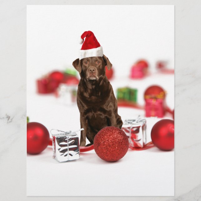 Brown Labrador Cachorro Natal w presentes Papai No (Frente)