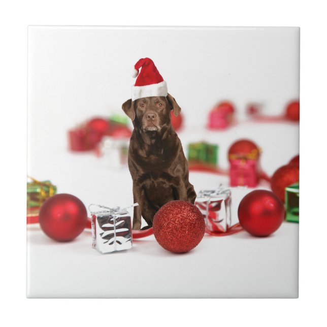 Brown Labrador Cachorro Natal w presentes Papai No (Frente)