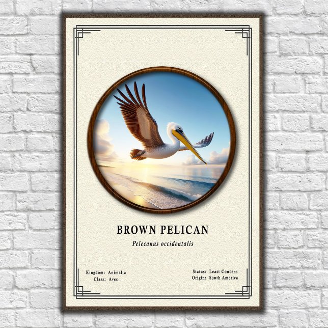 Brown Pelican Zoology Series Poster (Criador carregado)