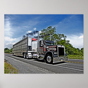 Brown's B Model Poster