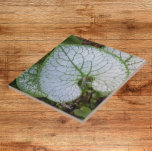 Brunnera Macrophylla Plant Leaf Floral<br><div class="desc">Azulejo cerâmico que apresenta uma foto-imagem da folha de plantas verde e branca,  variegada e em forma de coração de Brunnera macrophylla,  também conhecida como Bugloss Siberiano. Um design floral adorável! Selecione o tamanho do seu azulejo. Faz uma bonito trivet de cozinha!</div>