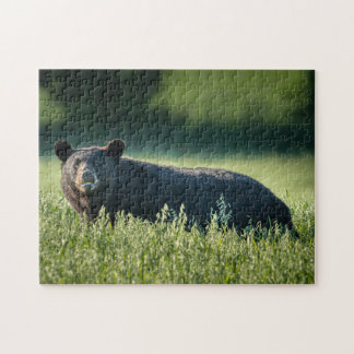 Bruno, o Quebra-cabeça do Urso