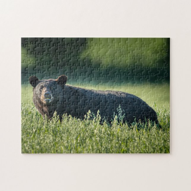 Bruno, o Quebra-cabeça do Urso (Horizontal)