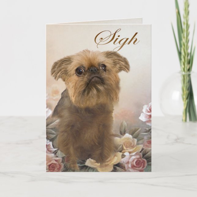 Brussell Griffon Perdendo Cartões (Frente)