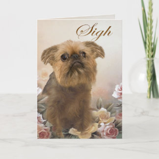 Brussell Griffon Perdendo Cartões