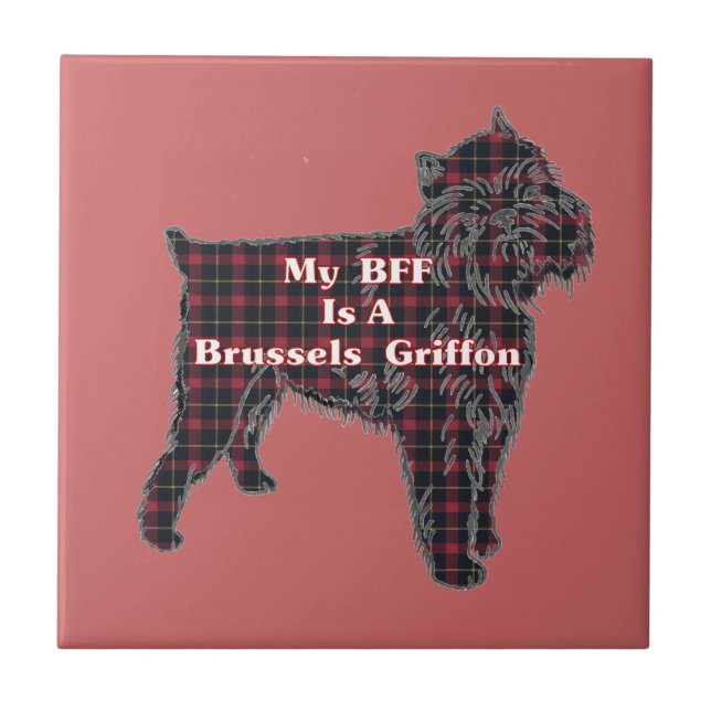 Brussells Griffon BFF (Frente)