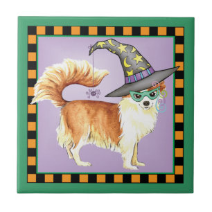 Bruxa da chihuahua