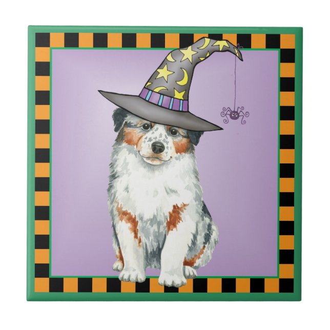 Bruxa Pastora Australiana (Frente)