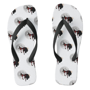 Bruxa Tipsy sobre Chinelos de vassoura voadores