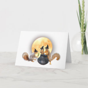 Bruxas de Esquilo com Cartão Cauldron