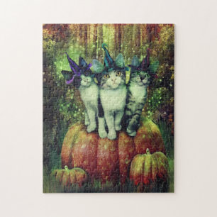 Bruxas no quebra-cabeça do disfarce