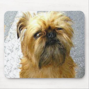 Bruxelas Griffon Mousepad