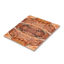 Bryce Canyon Park Utah Landscape Hoodoos Photo