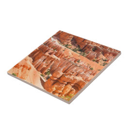 Bryce Canyon Park Utah Landscape Hoodoos Photo