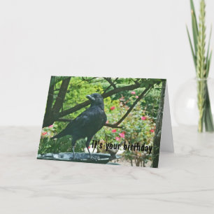 BT- Cartão de Aniversário Crow Funy