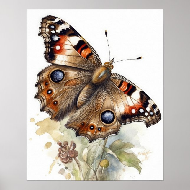 Buckeye Butterfly Art Poster Impressão (Frente)