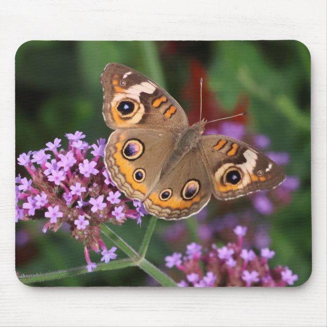 Buckeye Butterfly em Verbena Mousepad (Frente)