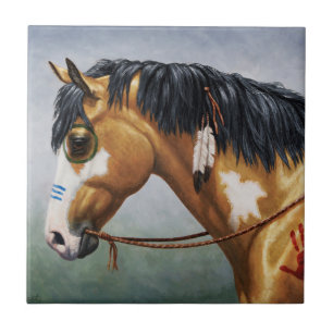 Buckskin Pinto Cavalo de Guerra Nativo Americano