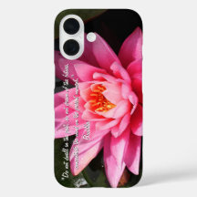Buda cita, Lotus Flower, Buda