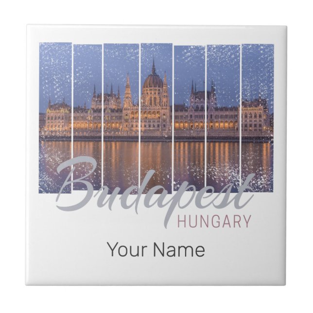 Budapest Parlamento Hungria Vintage Panorama (Frente)