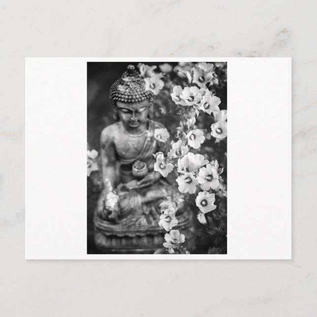 BUDDHA COM CARTÃO POSTAL DE FLORES (Frente)