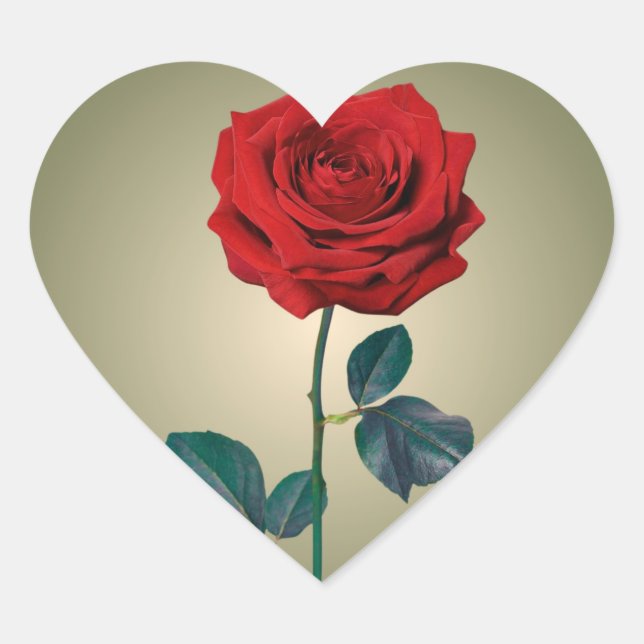 BuddhaToday #1 - Adesivos de Amor Zen  (Frente)