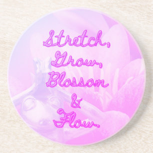 BuddhaTodayV3.pnk - #8 "Estacione Aqui" Porta-copo