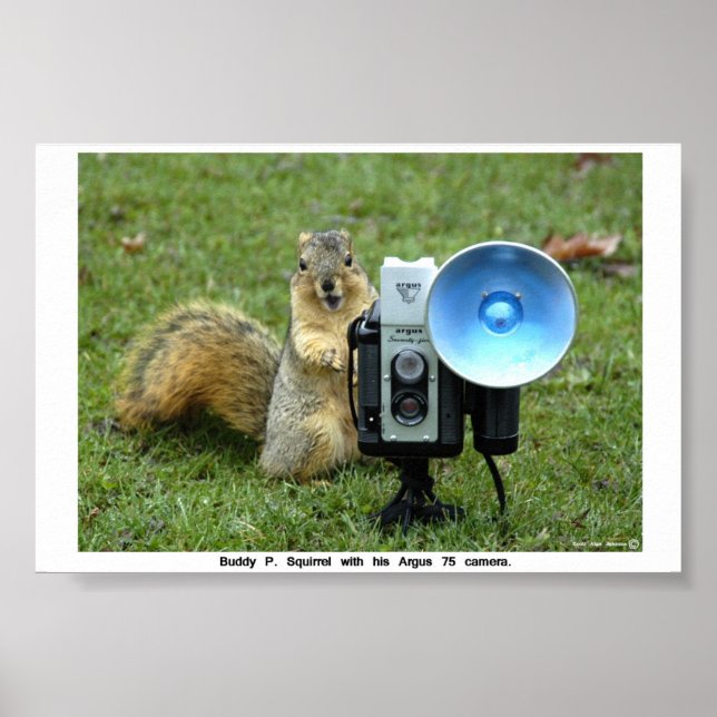 BUDDY P. SQUIRREL POSTER (Frente)