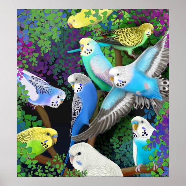 Budgerigars em Ferns Poster (Frente)