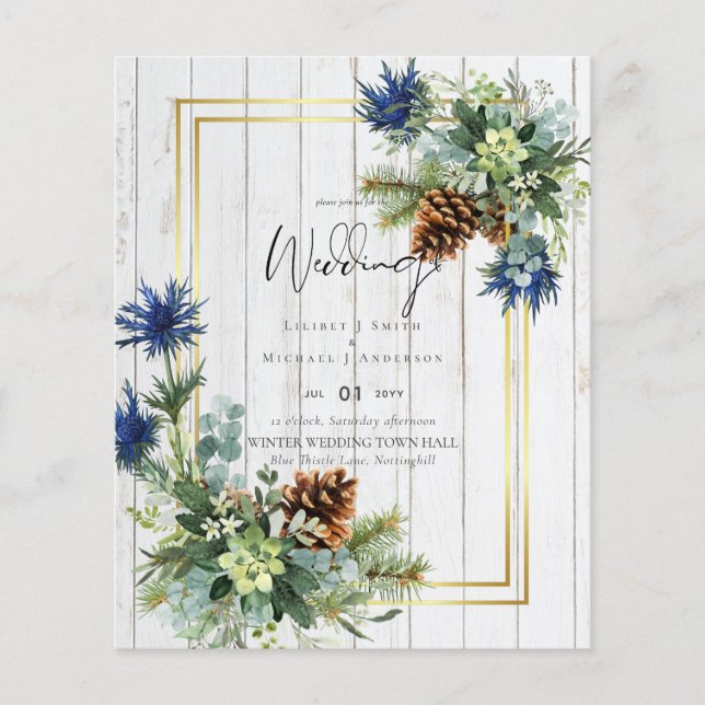 BUDGET Blue Thistle Eucalyptus Wedgland (Frente)
