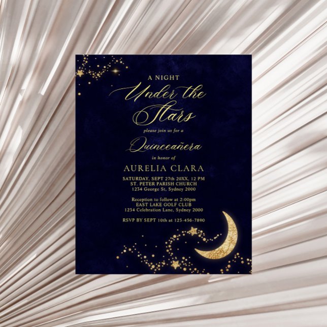 BUDGET Elegante Uma Noite Sob As Estrelas Quinceañ (Criador carregado)