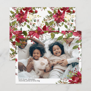 BUDGET Feliz Foto de Natal Poinsettia Flor
