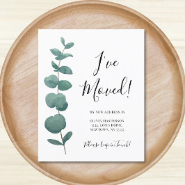 Budget I've Moved Change of Address Eucalyptus