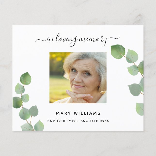 Budget Sympathy eucalyptus obrigado branco (Verso)