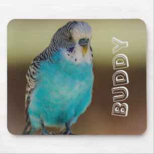 Budgie azul personalizado Mousepad