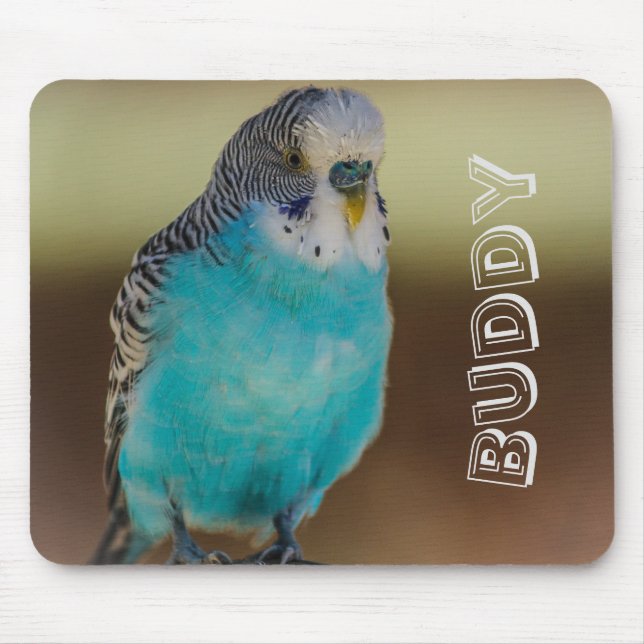 Budgie azul personalizado Mousepad (Frente)