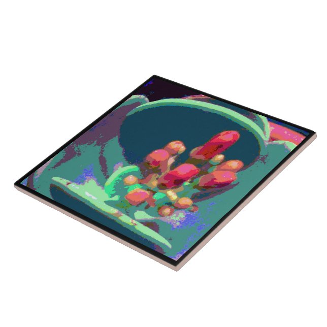 Buds de Acima (Lateral)