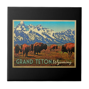 Búfalo grande de Teton Wyoming