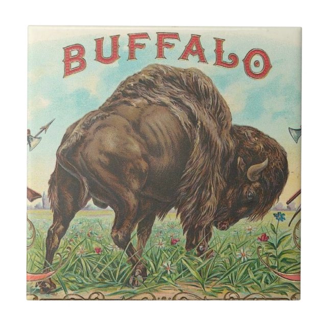Buffalo (Frente)