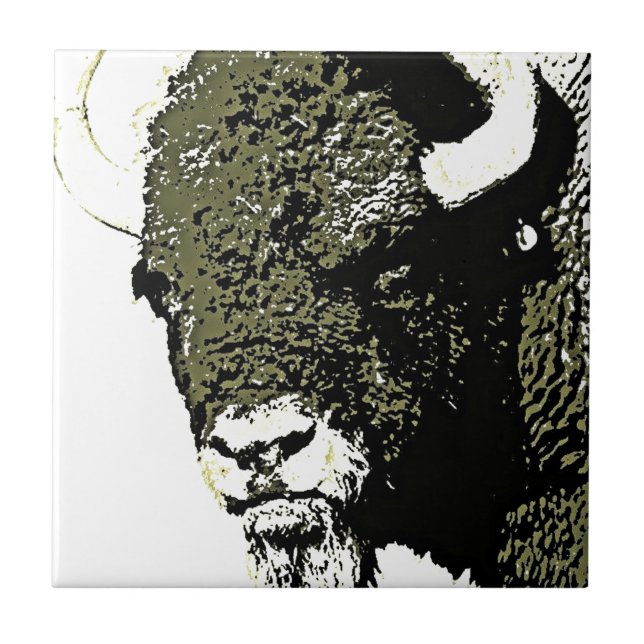 Buffalo - Bison (Frente)