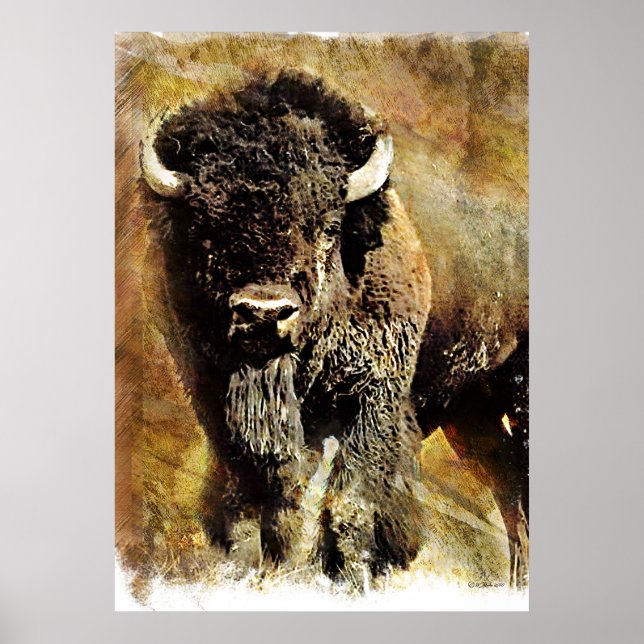 Buffalo Grunge Poster (Frente)