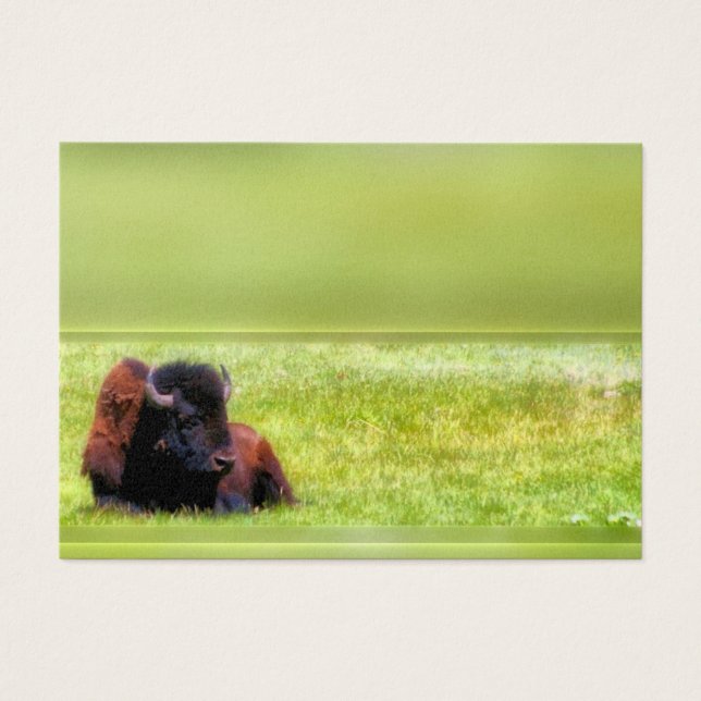 Buffalo Meadow (Frente)