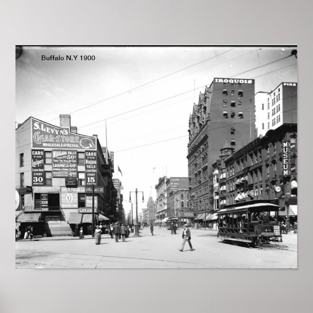 Buffalo N.Y Impressão (Frente)