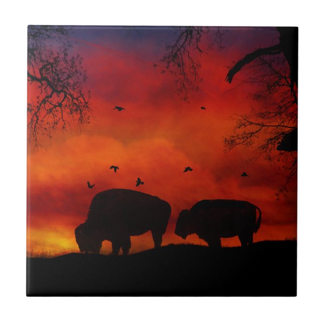 Buffalo no Azulejo de Arte Sunset (Frente)