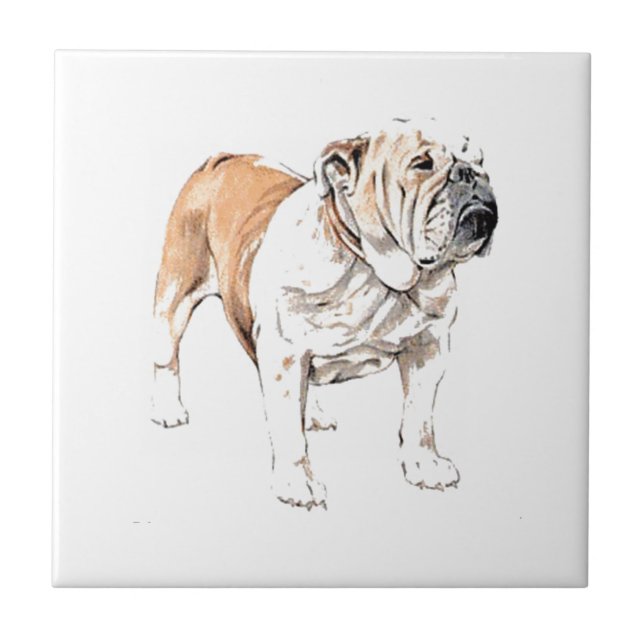 Buldogue (Frente)