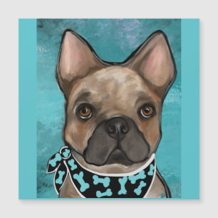 BULDOGUE FRANCÊS