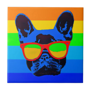 Buldogue francês com óculos estilo Pop